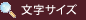 文字サイズ