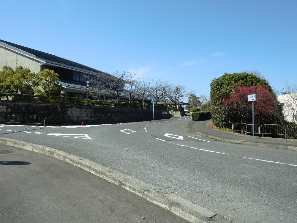駐車場入口と紅梅