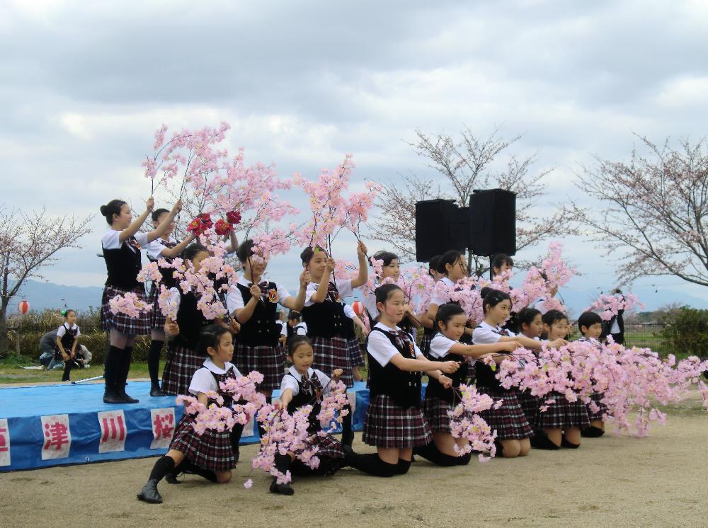 草津歌劇団が草津川桜557フェスタに出演しました☆
